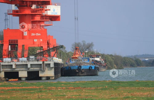 江西泰和內陸碼頭 復工復產作業繁忙，搬運服務高效運轉