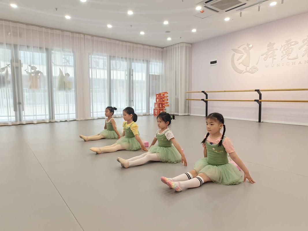 舞霓裳 用心教學(xué)，用愛(ài)育人，弘揚(yáng)中國(guó)傳統(tǒng)舞蹈之美